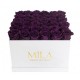 Mila Classic Luxe White - Velvet purple