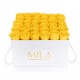 Mila Classic Luxe White - Yellow Sunshine