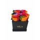 Mila Classic Mini Black - Rainbow