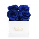 Mila Classic Mini White - Royal blue