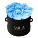 Mila Classic Small Black - Baby blue