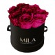 Mila Classic Small Black - Fuchsia