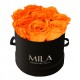 Mila Classic Small Black - Orange Bloom