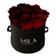 Mila Classic Small Black - Rubis Rouge