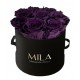 Mila Classic Small Black - Velvet purple