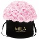 Mila Classique Large Dome Black - Pink Blush