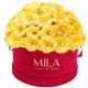 Mila Classique Large Dome Burgundy - Yellow Sunshine