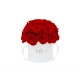 Mila Classique Small Dome White - Rouge Amour