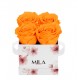 Mila Limited Edition Flower Mini - Orange Bloom