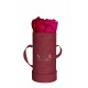 Mila Velvet Baby Burgundy Velvet Baby - Fuchsia