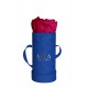 Mila Velvet Baby Royal Blue Velvet Baby - Fuchsia